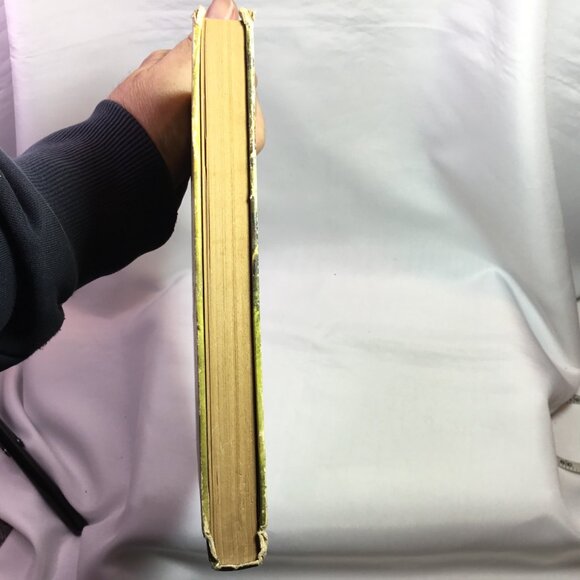 THE SWISS FAMILY ROBINSON (EDUCATOR CLASSIC LIBRARY VOL. 4) - Wyss, Johann|I... - Picture 5 of 12